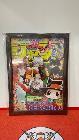 cadre flyer reborn weekly shonen jump 47 2009