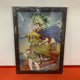 Cadre Flyer - Dr. Stone - Suika et Senku
