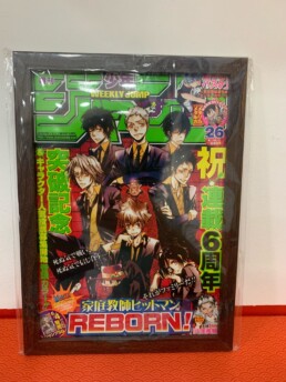 Cadre Flyer - Reborn - Weekly Shonen Jump 26/2010